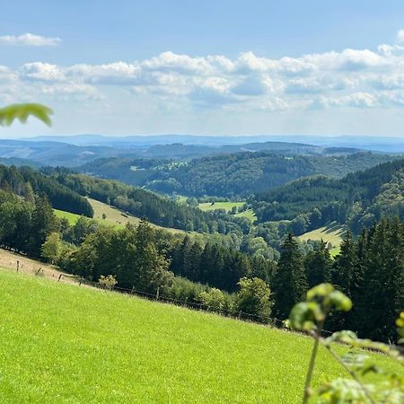 Ferienwohnung Up Willingen-Schwalefeld Виллинген Экстерьер фото