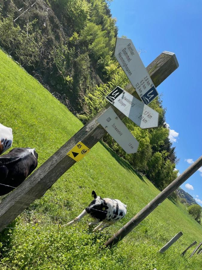 Ferienwohnung Up Willingen-Schwalefeld Виллинген Экстерьер фото